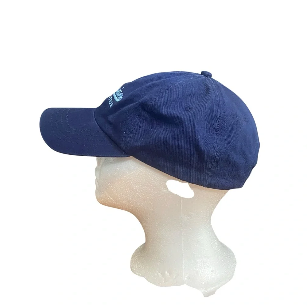 Vintage SMITHSONIAN Institution One Size Blue Logo Strapback Hat Baseball Cap